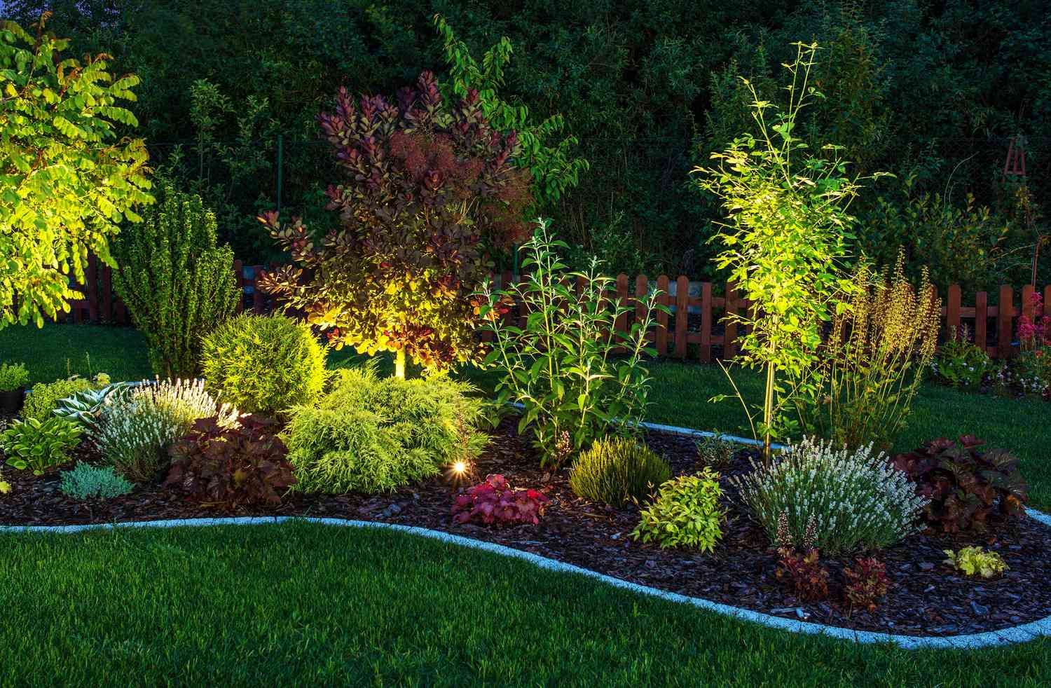 Landscape accent lighting